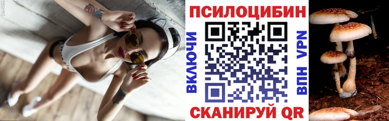 Галлюциногенные грибы MAGIC MUSHROOMS  Купить где  Черемхово 